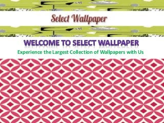 Experience the Largest Collection of Wallpapers with Us
 