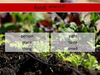 food. what is it?personplacethingsighttastesmell