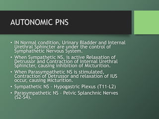 PATHOPHYSIOLOGY
• Neurogenic Bladder can occur if any of the
before mentioned sites are affected.
 