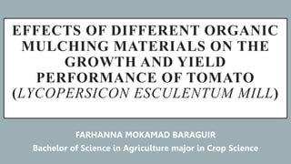 EFFECTS OF DIFFERENT ORGANIC
MULCHING MATERIALS ON THE
GROWTH AND YIELD
PERFORMANCE OF TOMATO
(LYCOPERSICON ESCULENTUM MILL)
FARHANNA MOKAMAD BARAGUIR
Bachelor of Science in Agriculture major in Crop Science
 