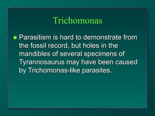 Trichomonas
 Parasitism is hard to demonstrate from
the fossil record, but holes in the
mandibles of several specimens of
Tyrannosaurus may have been caused
by Trichomonas-like parasites.
 
