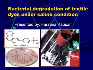 Bacterial degradation of textile dyes under saline condition Presented by: Farzana Kausar 