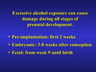 Excessive alcohol exposure can cause damage during all stages of prenatal development. Pre-implantation:   first 2 weeks Embryonic :   3-8 weeks after conception Fetal : from week 9 until birth 