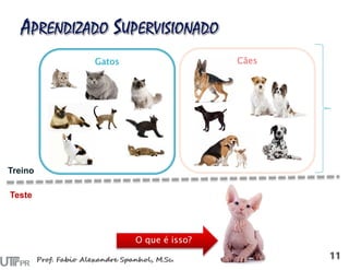 CãesGatos
Teste
O que é isso?
Treino
 