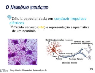Célula especializada em conduzir impulsos
elétricos
Tecido nervoso (H&E) e representação esquemática
de um neurônio
 