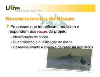 UNIVERSIDADE TECNOLÓGICA FEDERAL DO PARANÁ




Gerenciamento de Riscos
 Processos que identificam, analisam e
respondem aos riscos do projeto
  Identificação de riscos
  Quantificação e qualificação de riscos
  Desenvolvimento e controle da resposta aos riscos




                                      Prof. Fabio Alexandre Spanhol, M. Sc.   85
 