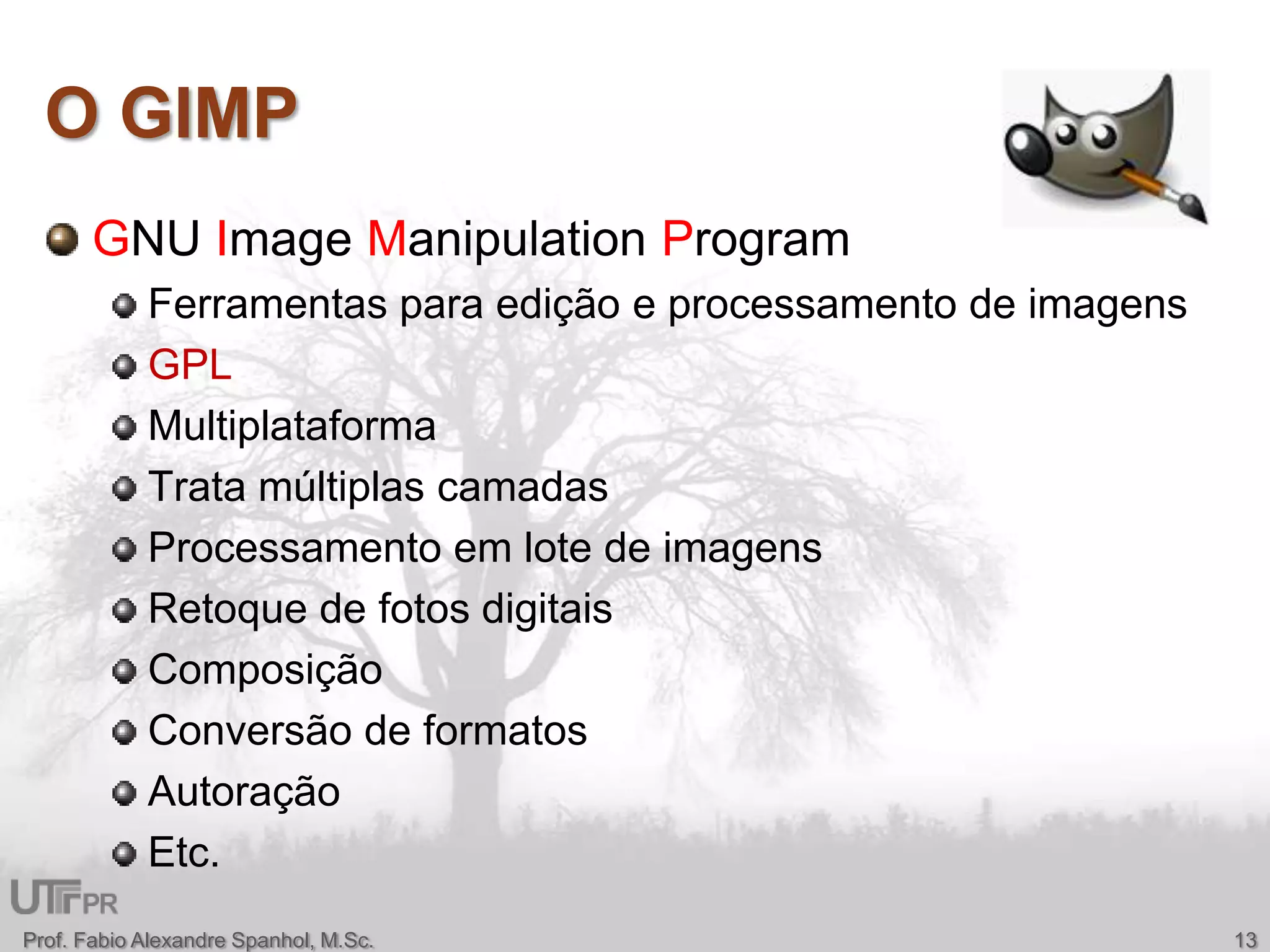O GIMPGNU ImageManipulationProgramFerramentas para edição e processamento de imagensGPLMultiplataformaTrata múltiplas camadasProcessamento em lote de imagensRetoque de fotos digitaisComposiçãoConversão de formatosAutoraçãoEtc.Prof. Fabio Alexandre Spanhol, M.Sc.13