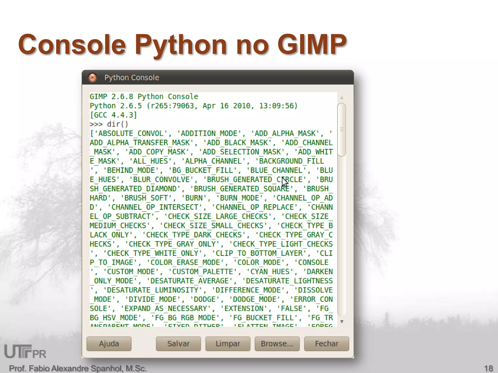 Console Python no GIMPProf. Fabio Alexandre Spanhol, M.Sc.18