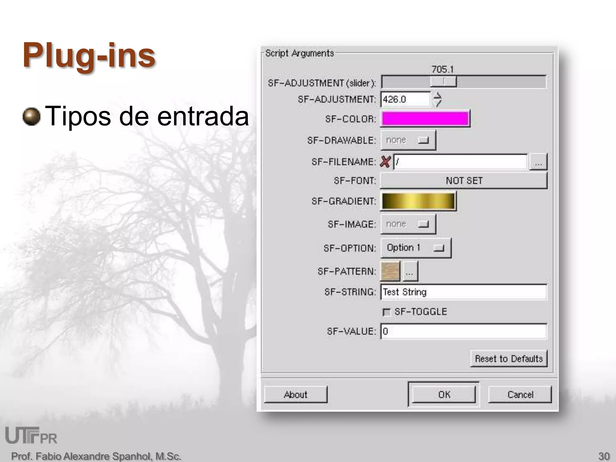 Plug-insTipos de entradaProf. Fabio Alexandre Spanhol, M.Sc.30