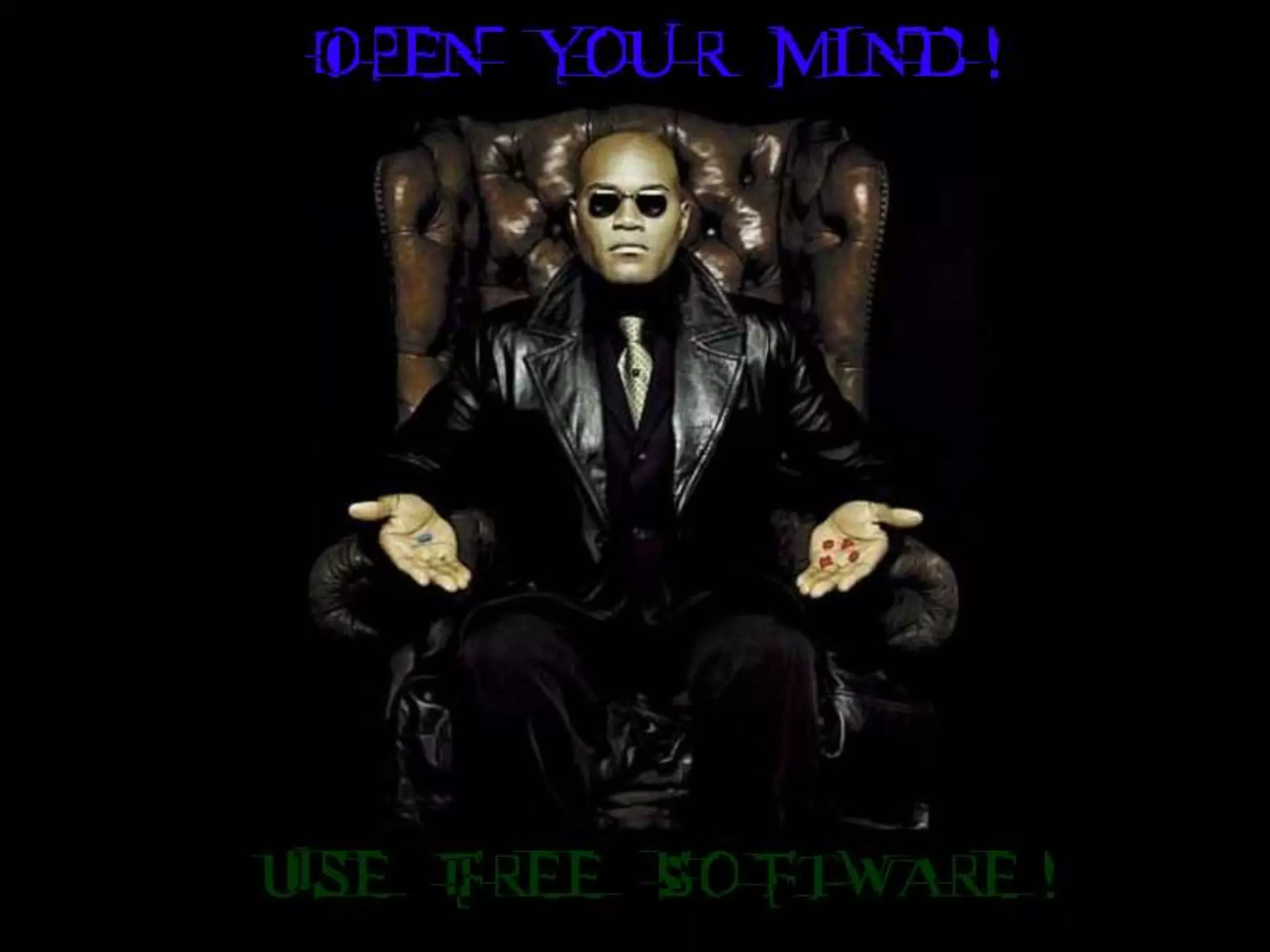 Prof. Fabio Alexandre Spanhol, M.Sc.33