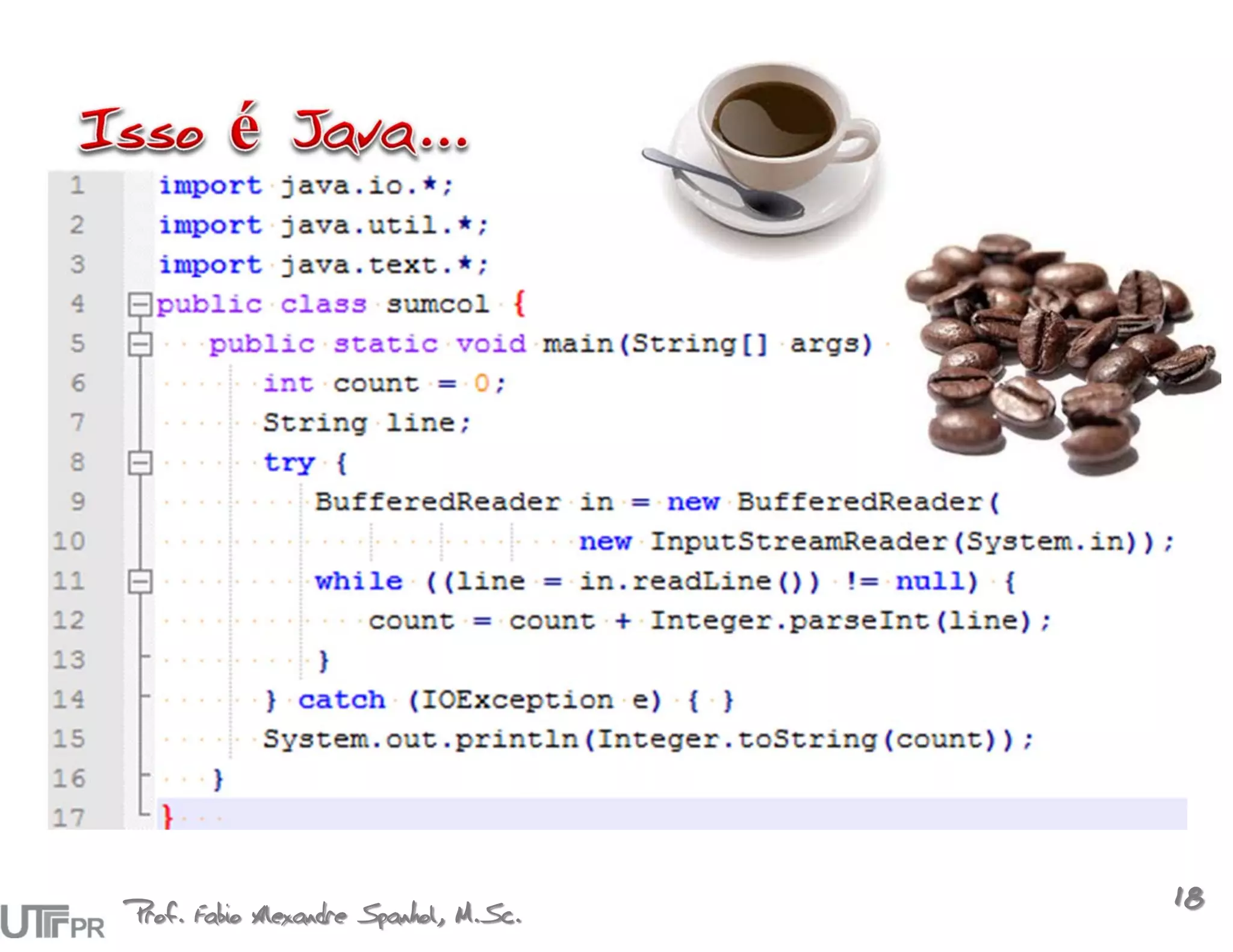 Prof. Fabio Alexandre Spanhol, M.Sc.
                                       18
 