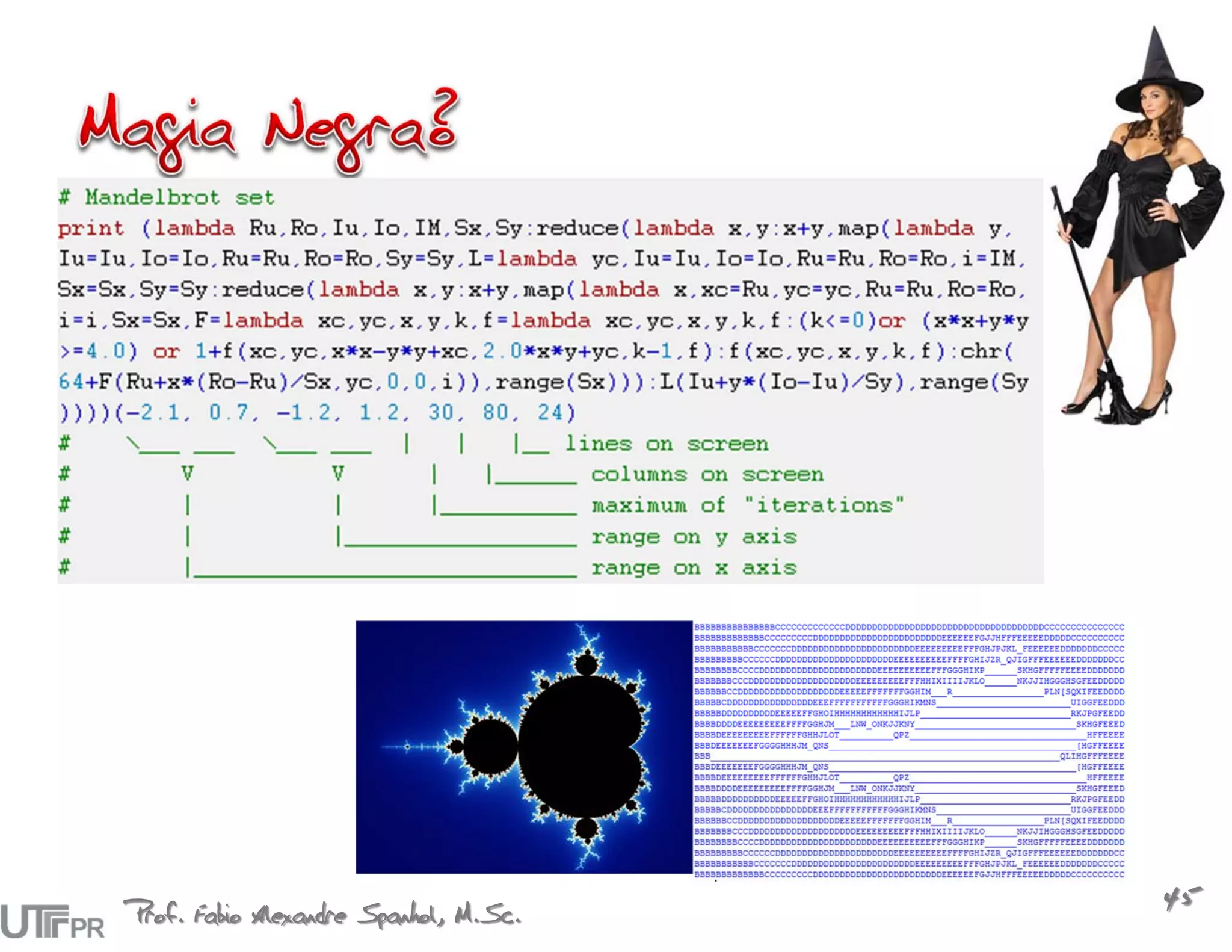 Prof. Fabio Alexandre Spanhol, M.Sc.
                                       45
 