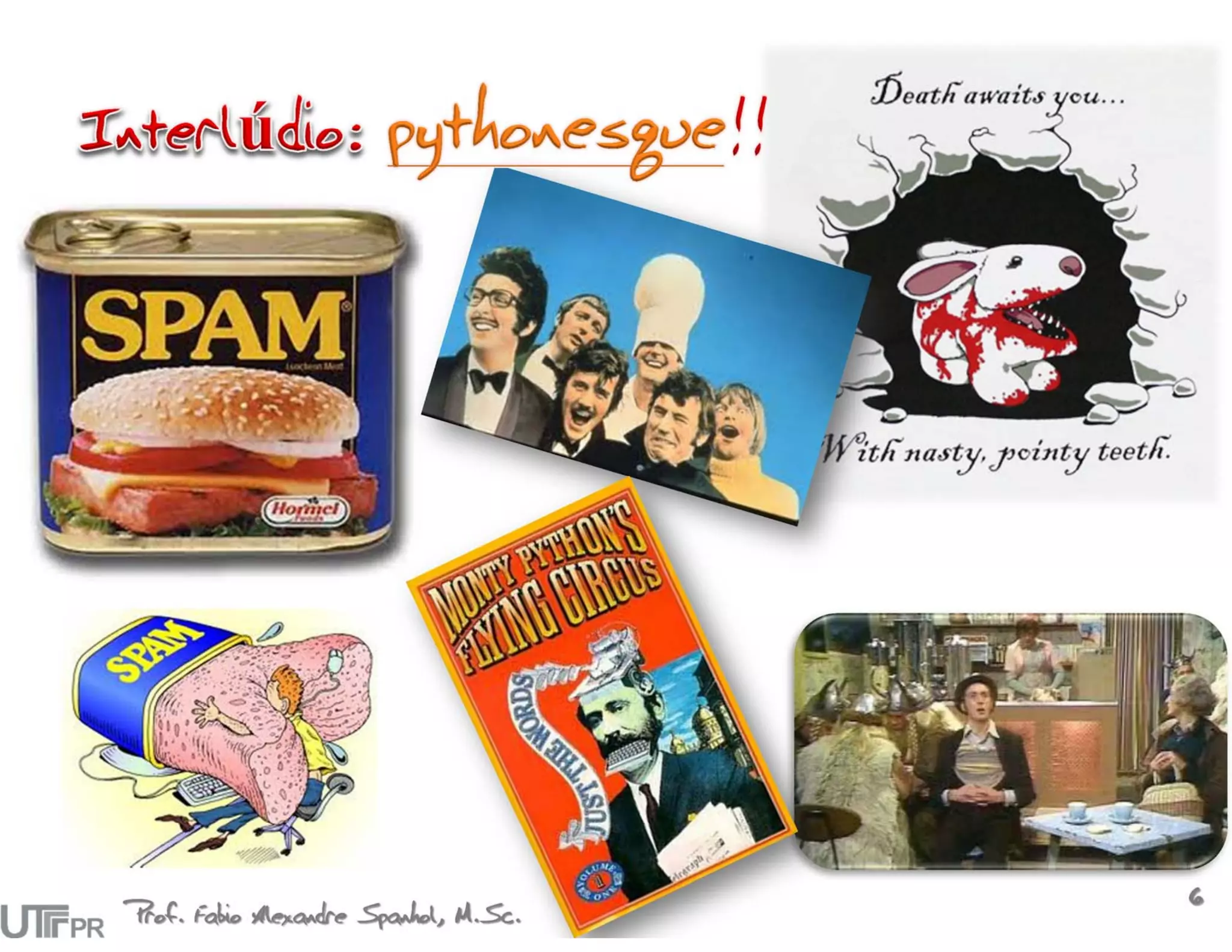 Prof. Fabio Alexandre Spanhol, M.Sc.
                                       6
 