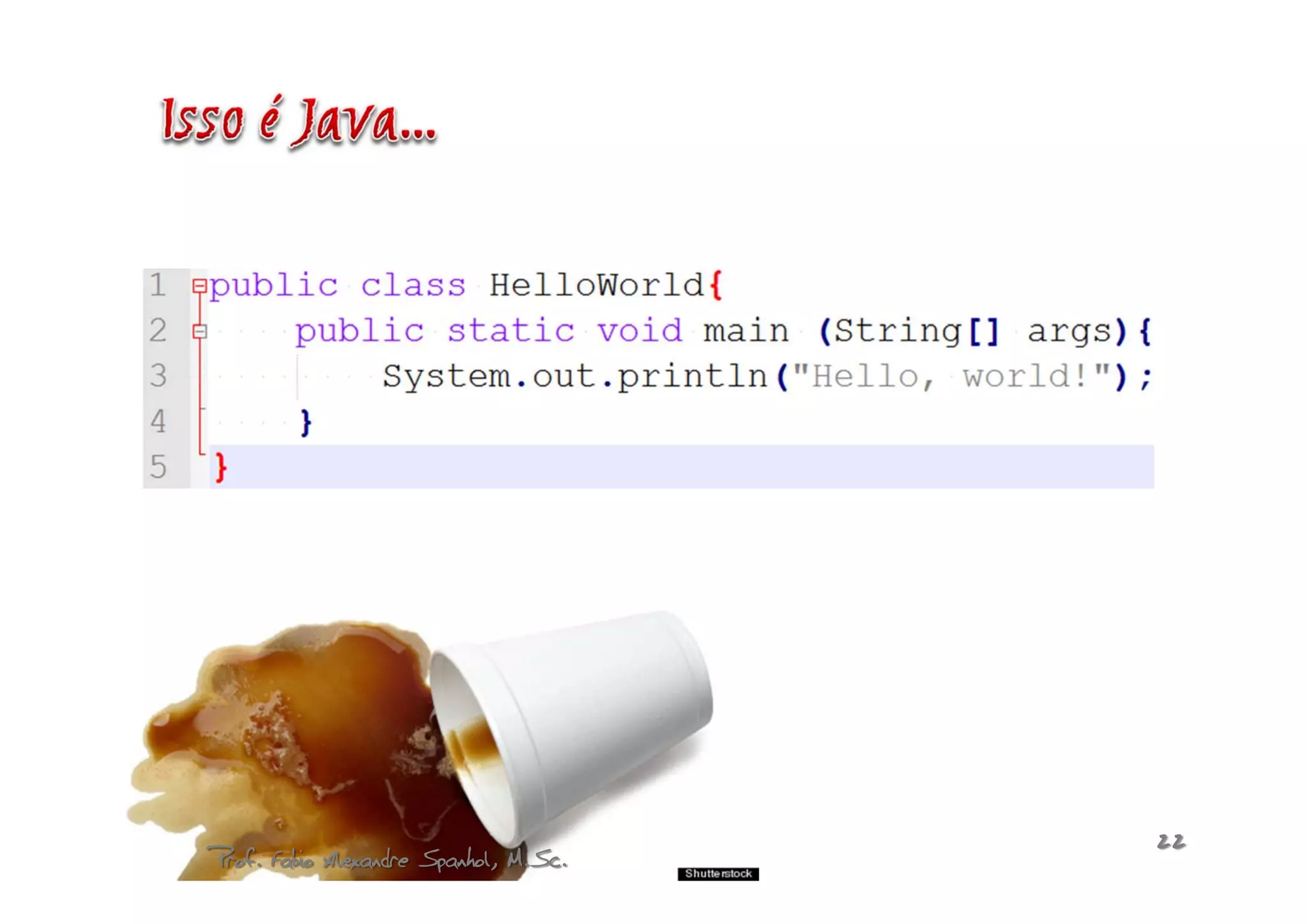 Prof. Fabio Alexandre Spanhol, M.Sc.   22
 