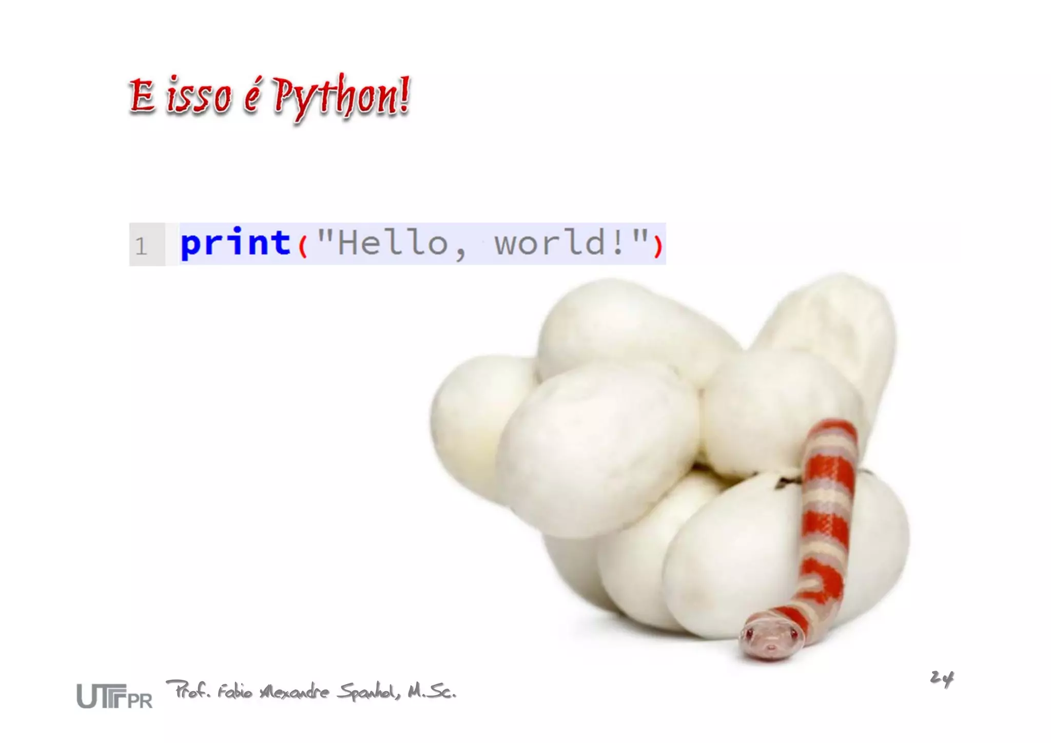 Prof. Fabio Alexandre Spanhol, M.Sc.   24
 