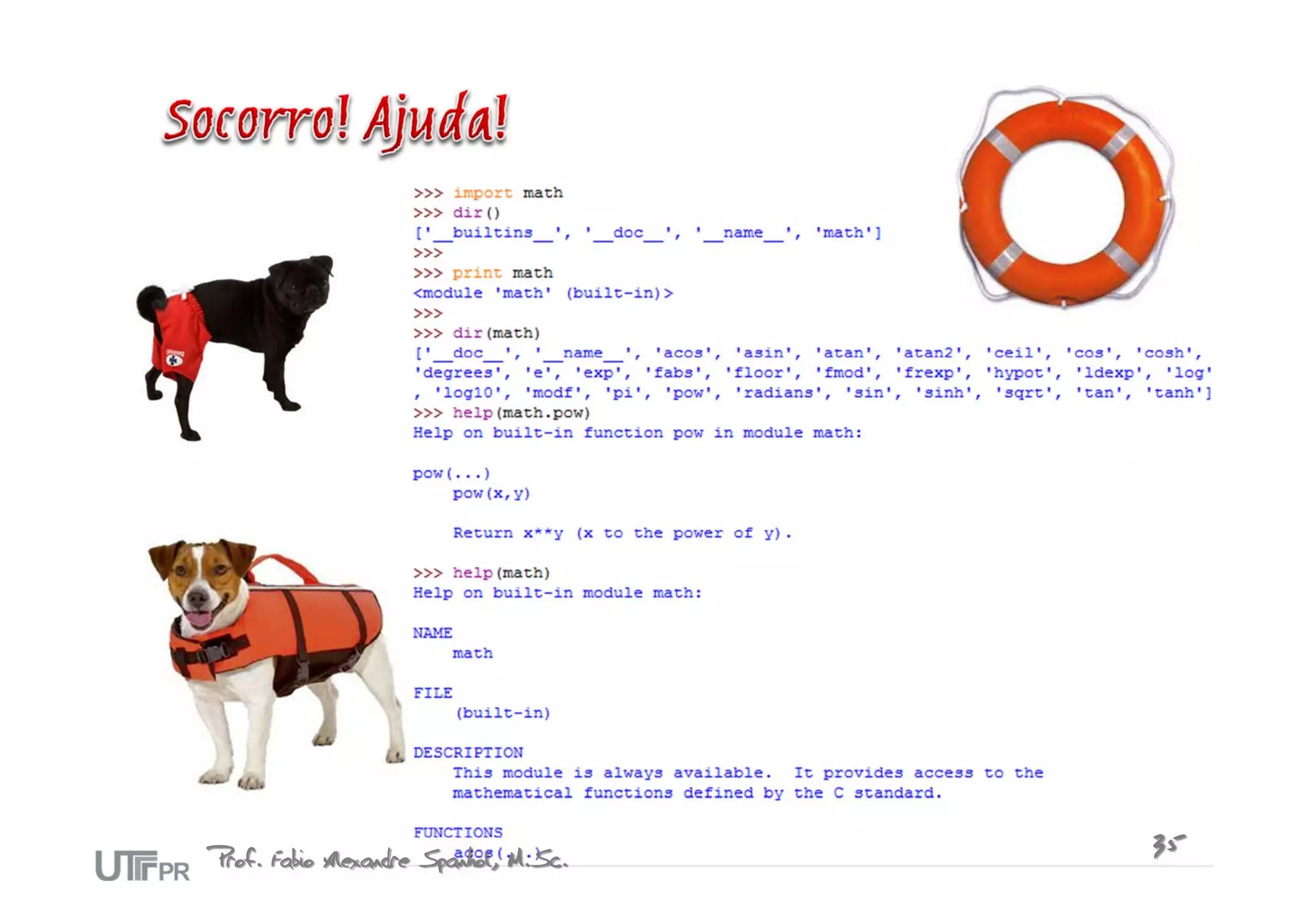 Prof. Fabio Alexandre Spanhol, M.Sc.   35
 