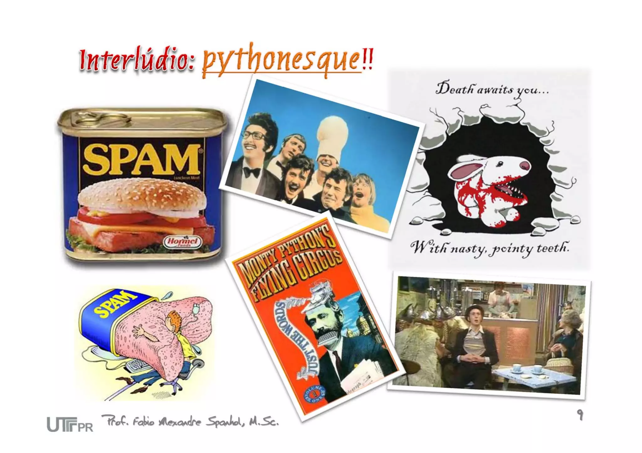 Prof. Fabio Alexandre Spanhol, M.Sc.   9
 