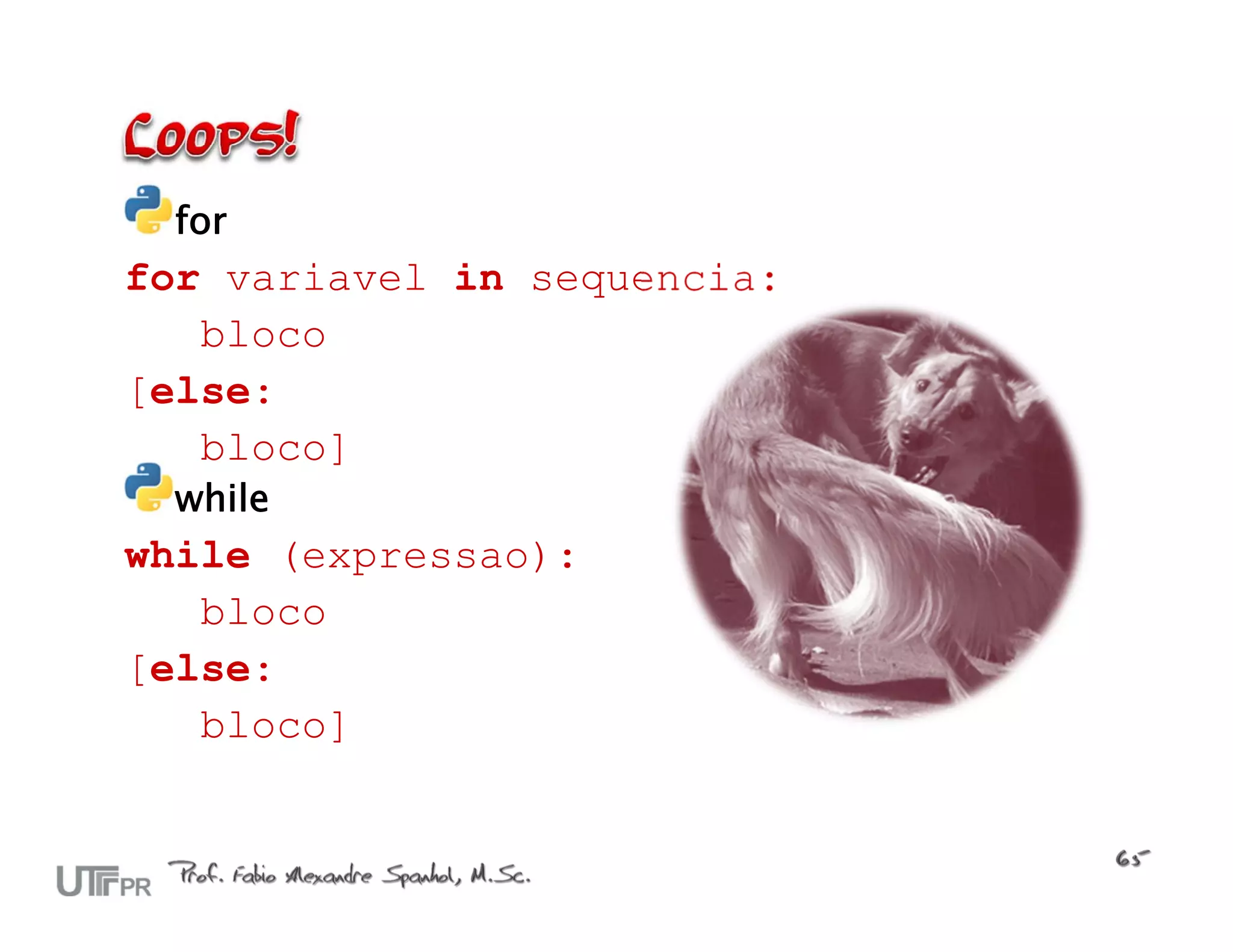 for for variavel in sequencia: bloco [else: bloco] while while (expressao): bloco [else: bloco] 