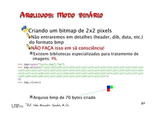 Criando um bitmap de 2x2 pixels
 Não entraremos em detalhes (header, dib, data, etc.)
do formato bmp
 NÃO FAÇA isso em sã consciência!
 Existem bibliotecas especializadas para tratamento de
 imagens: PIL




 Arquivo bmp de 70 bytes criado
 