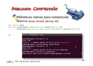 Bibliotecas nativas para compressão
 Baterias gzip, bzip2, pkzip, etc.
 