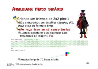 Criando um bitmap de 2x2 pixels
 Não entraremos em detalhes (header, dib,
data, etc.) do formato bmp
 NÃO FAÇA isso em sã consciência!
 Existem bibliotecas especializadas para
 tratamento de imagens: PIL




 Arquivo bmp de 70 bytes criado
 