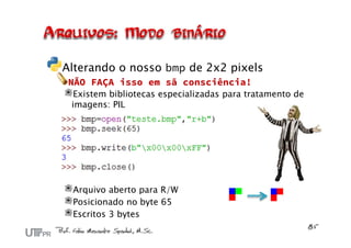 Alterando o nosso bmp de 2x2 pixels
 NÃO FAÇA isso em sã consciência!
 Existem bibliotecas especializadas para tratamento de
 imagens: PIL




 Arquivo aberto para R/W
 Posicionado no byte 65
 Escritos 3 bytes
 