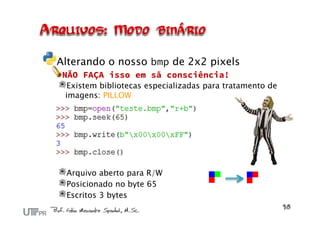 Alterando o nosso bmp de 2x2 pixels
NÃO FAÇA isso em sã consciência!
Existem bibliotecas especializadas para tratamento de
imagens: PILLOW
Arquivo aberto para R/W
Posicionado no byte 65
Escritos 3 bytes
 