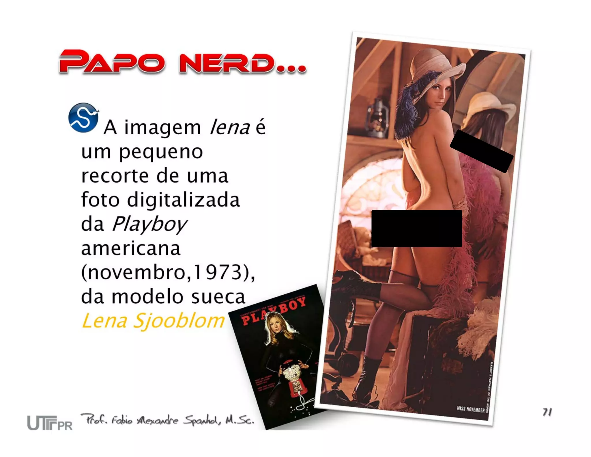 A imagem lena é
um pequeno
recorte de uma
foto digitalizada
da Playboy
americana
(novembro,1973),
da modelo sueca
Lena Sjooblom
 