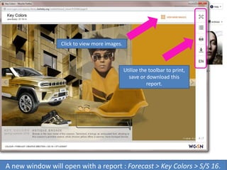 A new window will open with a report : Forecast > Key Colors > S/S 16.
Click to view more images.
Utilize the toolbar to print,
save or download this
report.
 