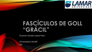 FASCÍCULOS DE GOLL 
“GRÁCIL” 
Guerson Moisés Lopez Haro 
Universidad LAMAR 
5°E 
 