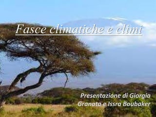 Fasce climatiche e climi
Presentazione di Giorgia
Granata e Issra Boubaker
 