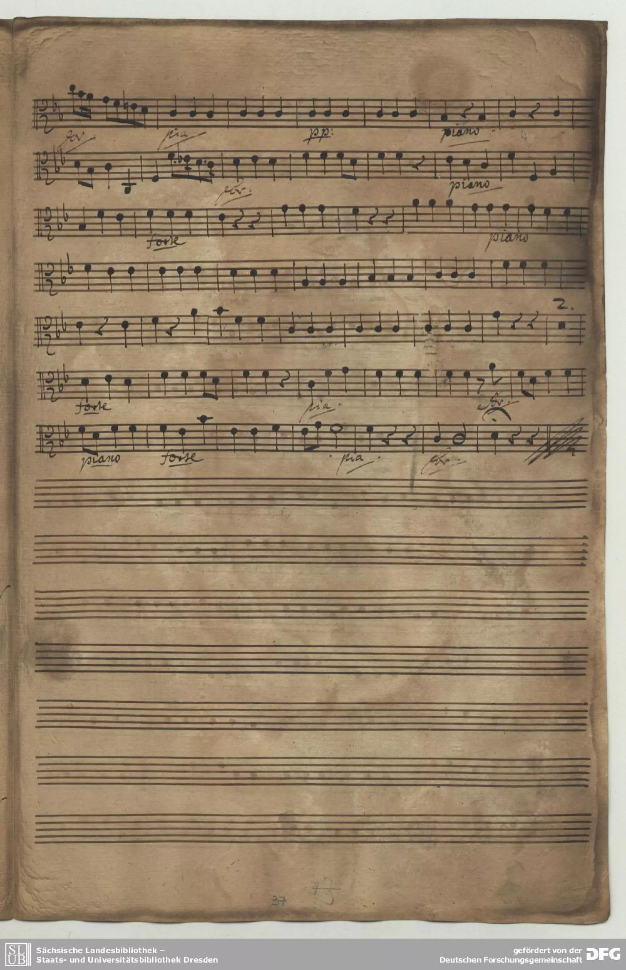 Fasch conc l_b1./concierto para chalumeau ,string y baso continuo