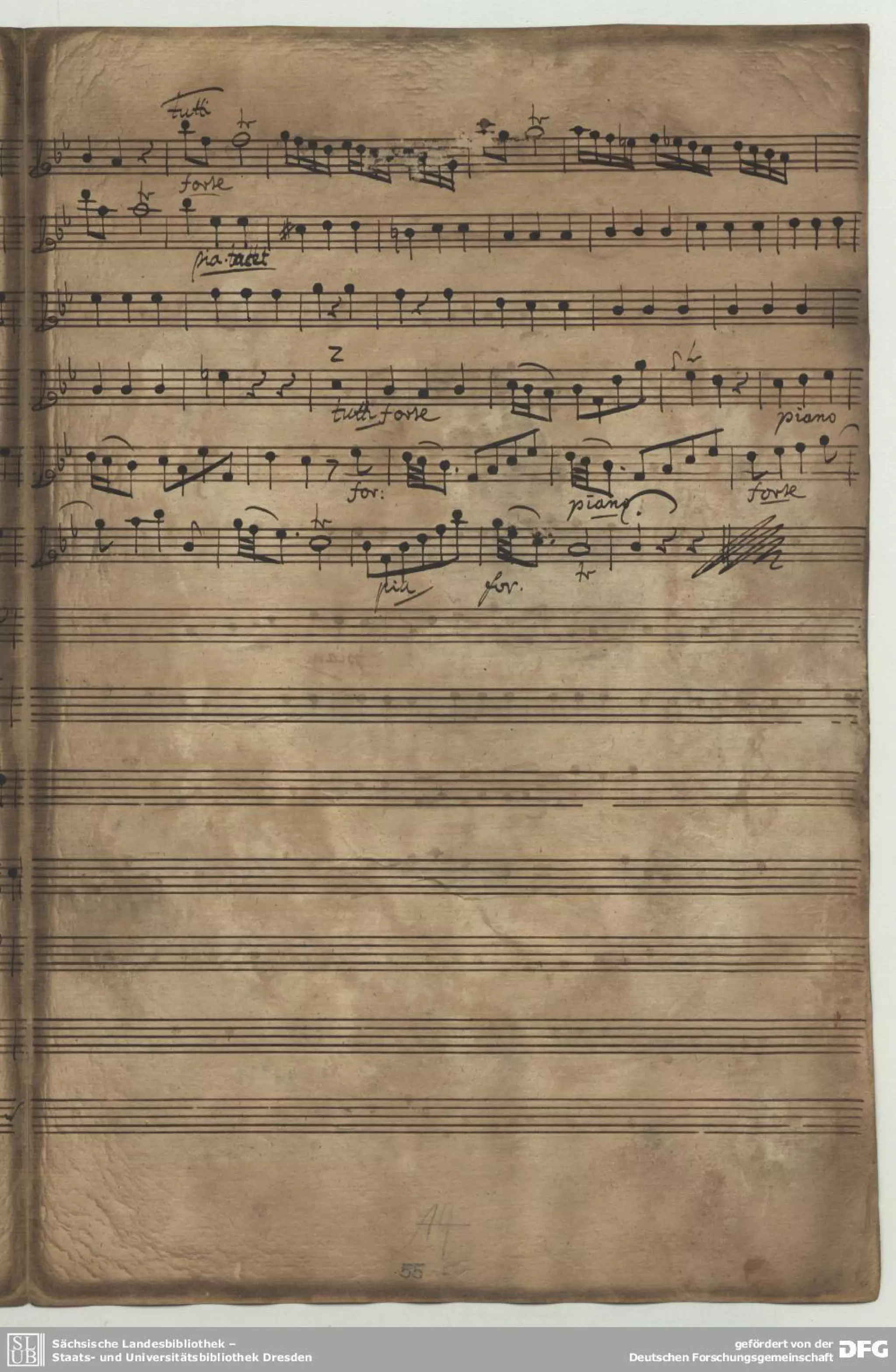 Fasch conc l_b1./concierto para chalumeau ,string y baso continuo