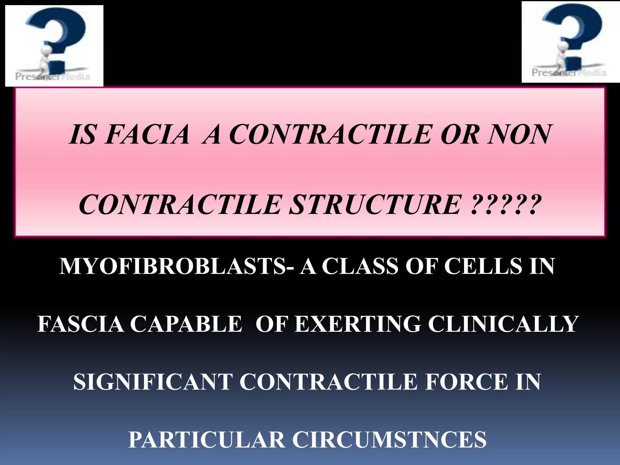 IS FACIA A CONTRACTILE OR NON
CONTRACTILE STRUCTURE ?????
MYOFIBROBLASTS- A CLASS OF CELLS IN
FASCIA CAPABLE OF EXERTING CLINICALLY
SIGNIFICANT CONTRACTILE FORCE IN
PARTICULAR CIRCUMSTNCES
 