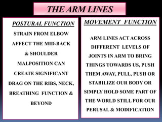 THE ARM LINES
POSTURAL FUNCTION
STRAIN FROM ELBOW
AFFECT THE MID-BACK
& SHOULDER
MALPOSITION CAN
CREATE SIGNIFICANT
DRAG ON THE RIBS, NECK,
BREATHING FUNCTION &
BEYOND
MOVEMENT FUNCTION
ARM LINES ACT ACROSS
DIFFERENT LEVELS OF
JOINTS IN ARM TO BRING
THINGS TOWARDS US, PUSH
THEM AWAY, PULL, PUSH OR
STABILIZE OUR BODY OR
SIMPLY HOLD SOME PART OF
THE WORLD STILL FOR OUR
PERUSAL & MODIFICATION
 