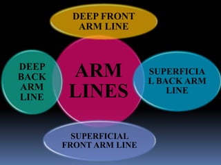 ARM
LINES
DEEP FRONT
ARM LINE
SUPERFICIA
L BACK ARM
LINE
SUPERFICIAL
FRONT ARM LINE
DEEP
BACK
ARM
LINE
 