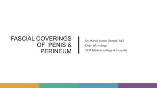 FASCIAL COVERINGS
OF PENIS &
PERINEUM
Dr. Manoj Kumar Deepak, M.S
Dept. of Urology.
SRM Medical college & Hospital
 