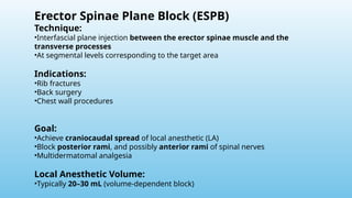 Espb Block Comprehensive Guide to Fascial Plane Blocks in Regional Anesthesia | PPTX