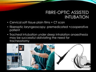 FIBRE-OPTIC ASSISTED 
INTUBATION 
• Cervical soft tissue plain films + CT scan 
• fiberoptic laryngeoscopy- premedicated +cooperative 
patient 
• Tracheal intubation under deep inhalation anaesthesia 
may be successful obliviating the need for 
tracheostomy 
 