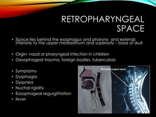 RETROPHARYNGEAL 
SPACE 
• Space lies behind the esophagus and pharynx and extends 
inferiorly to the upper mediastinum and superiorly – base of skull 
• Orgin- nasal or pharyngeal infection in children 
• Oesophageal trauma, foreign bodies, tuberculosis 
• Symptoms- 
• Dysphagia 
• Dyspnea 
• Nuchal rigidity 
• Eosophageal regurgititation 
• fever 
 
