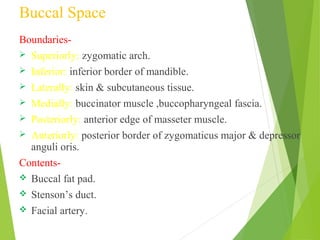 Buccal Space
Boundaries-
 Superiorly: zygomatic arch.
 Inferior: inferior border of mandible.
 Laterally: skin & subcutaneous tissue.
 Medially: buccinator muscle ,buccopharyngeal fascia.
 Posteriorly: anterior edge of masseter muscle.
 Anteriorly: posterior border of zygomaticus major & depressor
anguli oris.
Contents-
 Buccal fat pad.
 Stenson’s duct.
 Facial artery.
 
