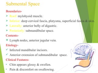 Submental Space
Boundaries-
 Roof: mylohyoid muscle.
 Inferior: deep cervical fascia, platysma, superficial fascia & skin.
 Laterally: anterior belly of digastric.
 Posteriorly: submandibular space.
Contents-
 Lymph nodes, anterior jugular vein.
Etiology-
 Infected mandibular incisors.
 Anterior extension of submandibular space.
Clinical Features-
• Chin appears glossy & swollen.
• Pain & discomfort on swallowing.
 