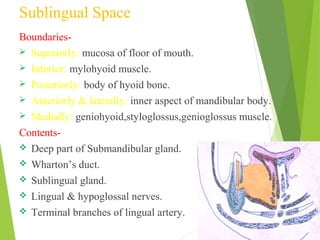 Sublingual Space
Boundaries-
 Superiorly: mucosa of floor of mouth.
 Inferior: mylohyoid muscle.
 Posteriorly: body of hyoid bone.
 Anteriorly & laterally: inner aspect of mandibular body.
 Medially: geniohyoid,styloglossus,genioglossus muscle.
Contents-
 Deep part of Submandibular gland.
 Wharton’s duct.
 Sublingual gland.
 Lingual & hypoglossal nerves.
 Terminal branches of lingual artery.
 