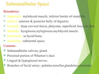 Submandibular Space
Boundaries-
 Superiorly: mylohyoid muscle, inferior border of mandible.
 Inferior: anterior & posterior belly of digastric.
 Laterally: deep cervical fascia, platysma, superficial fascia & skin.
 Medially: hyoglossus,styloglossus,mylohyoid muscle.
 Posteriorly: to hyoid bone.
 Anteriorly: submental space.
Contents-
 Submandibular salivary gland.
 Proximal portion of Wharton’s duct.
 Lingual & hypoglossal nerves.
 Branches of facial artery- palatine,tonsillar,glandular,submental.
 