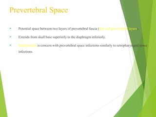 Prevertebral Space
 Potential space between two layers of prevertebral fascia (alar and prevertebral layers).
 Extends from skull base superiorly to the diaphragm inferiorly.
 Mediastinitis is concern with prevertebral space infections similarly to retropharyngeal space
infections.
 
