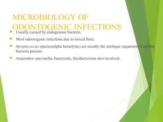 MICROBIOLOGY OF
ODONTOGENIC INFECTIONS Usually caused by endogenous bacteria.
 Most odontogenic infections due to mixed flora.
 Streptococcus species(alpha hemolytic) are usually the etiologic organisms if aerobic
bacteria present.
 Anaerobes- prevotella, bacteroids, fusobacterium also involved.
 
