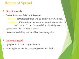 Routes of Spread
 Direct spread-
a) Spread into superficial soft tissues as-
Abscess- pathological thick walled cavity filled with pus.
Cellulitis- diffuse subcutaneous/submucous inflammation of
soft tissues. Tends to spread along fascial planes.
b) Spread into adjacent fascial spaces.
c) Into deep medullary spaces of bone- osteomyelitis
 Indirect spread-
a) Lymphatic routes to regional nodes.
b) Hematogenous route to other organs such as brain.
 