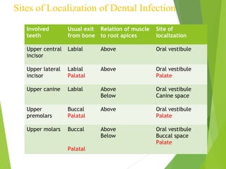 Sites of Localization of Dental Infection
Involved
teeth
Usual exit
from bone
Relation of muscle
to root apices
Site of
localization
Upper central
incisor
Labial Above Oral vestibule
Upper lateral
incisor
Labial
Palatal
Above Oral vestibule
Palate
Upper canine Labial Above
Below
Oral vestibule
Canine space
Upper
premolars
Buccal
Palatal
Above Oral vestibule
Palate
Upper molars Buccal
Palatal
Above
Below
Oral vestibule
Buccal space
Palate
 