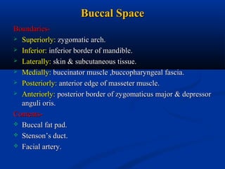 Buccal Space
Boundaries Superiorly: zygomatic arch.
 Inferior: inferior border of mandible.
 Laterally: skin & subcutaneous tissue.
 Medially: buccinator muscle ,buccopharyngeal fascia.
 Posteriorly: anterior edge of masseter muscle.
 Anteriorly: posterior border of zygomaticus major & depressor
anguli oris.
Contents Buccal fat pad.
 Stenson’s duct.
 Facial artery.

 