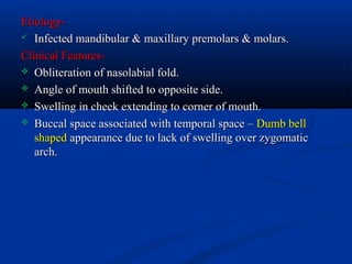 Etiology Infected mandibular & maxillary premolars & molars.
Clinical Features Obliteration of nasolabial fold.
 Angle of mouth shifted to opposite side.
 Swelling in cheek extending to corner of mouth.
 Buccal space associated with temporal space – Dumb bell
shaped appearance due to lack of swelling over zygomatic
arch.

 
